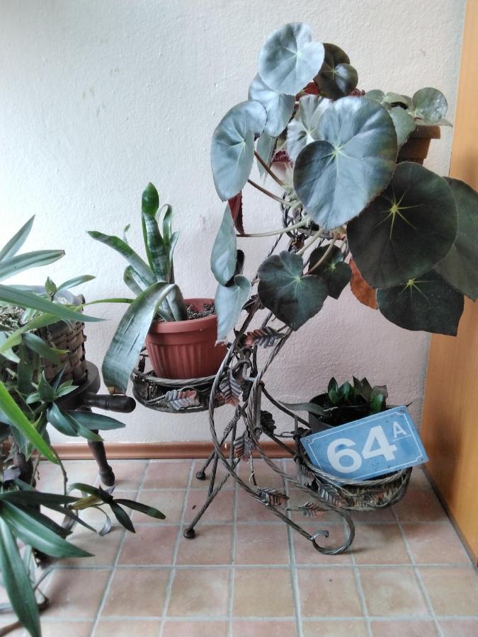 Fina Apartman Leskovac  Buitenkant foto