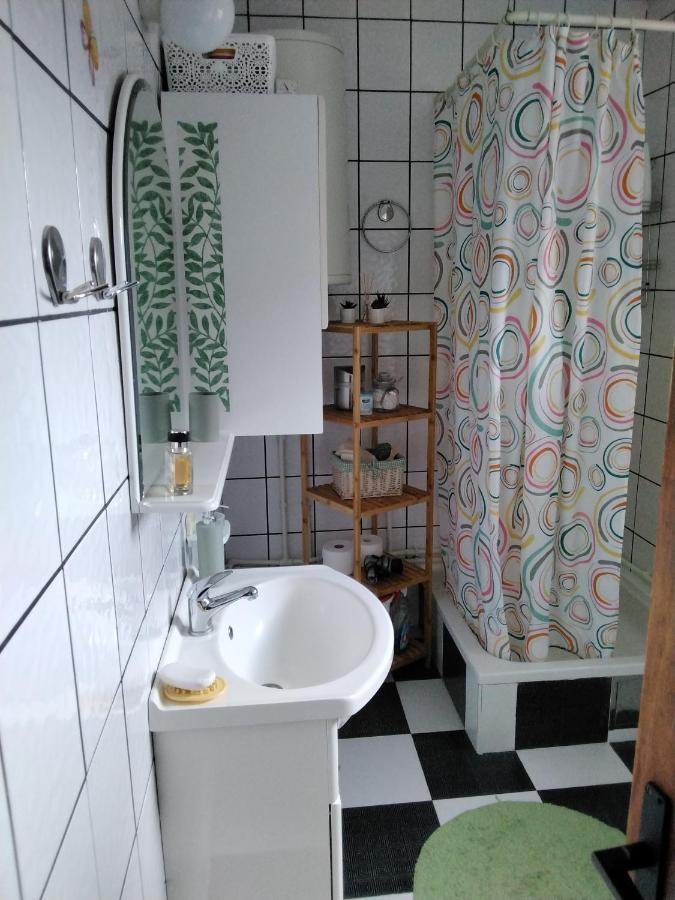 Fina Apartman Leskovac  Buitenkant foto