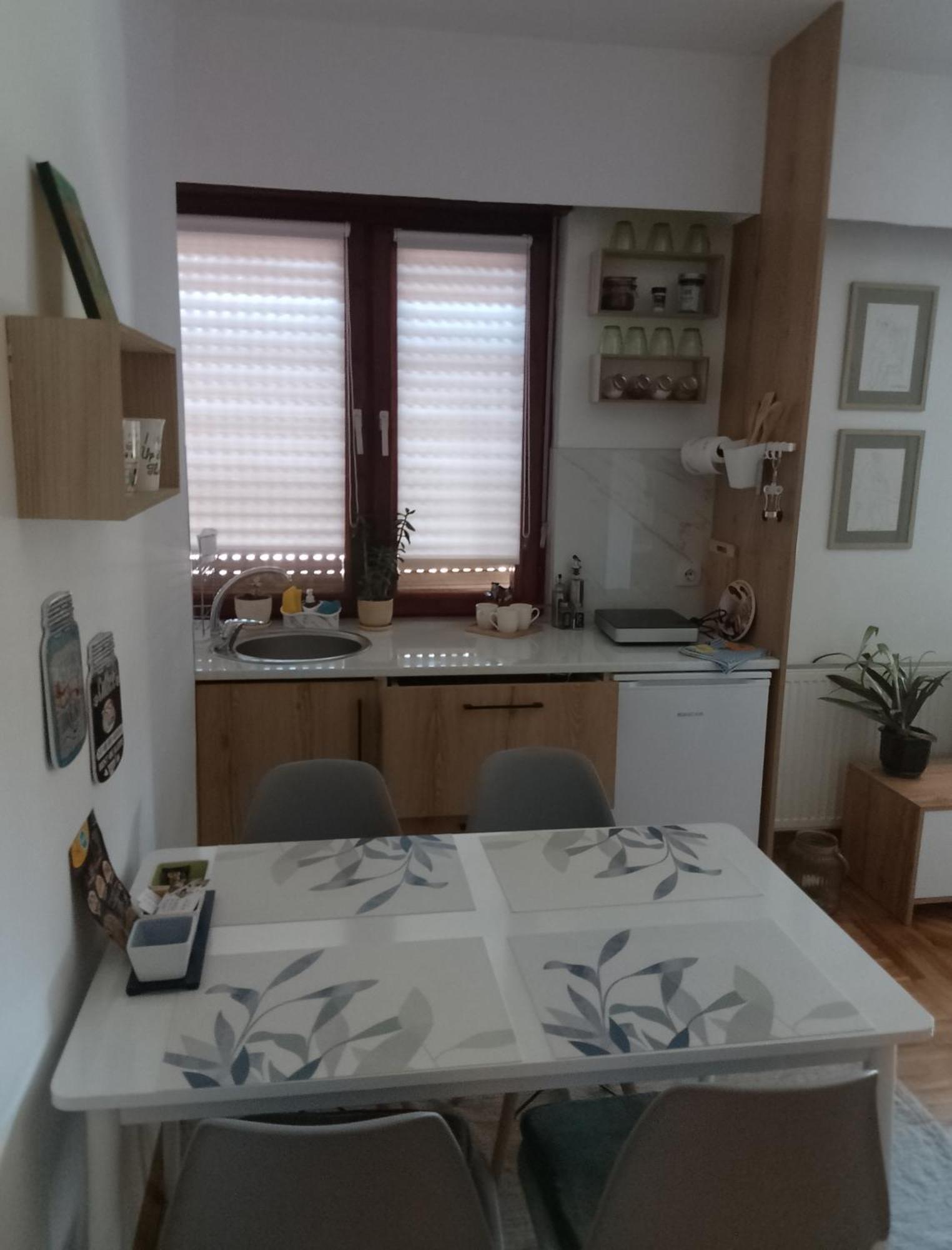 Fina Apartman Leskovac  Buitenkant foto
